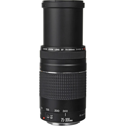 ジャンク CANON ZOOM LENS EF 75-300mm F4-5.6 IS ズーム レンズ 写真 カメラ 撮影 キヤノン M4349278 Canon ef 75-300mm 4-5.6 is usm 中古 ジャンク デジタル一眼レフ
