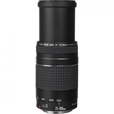Jual Canon Ef 75 300mm F4 5 6 Iii Usm Lens Harga Terbaik