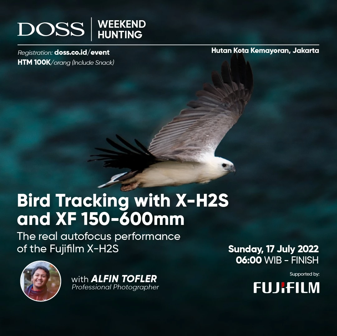 Bird Tracking with X-H2S and XF 150-600mm