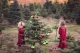 4 Ide Menakjubkan Buat Fotografi Liburan Natal yang Seru
