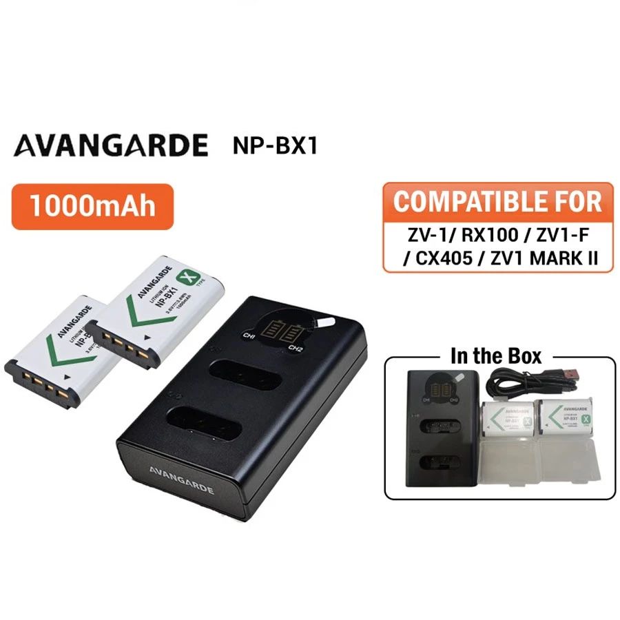 Avangarde Charger Kit NP-BX1 Battery 2pcs and DL-BX1 Charger