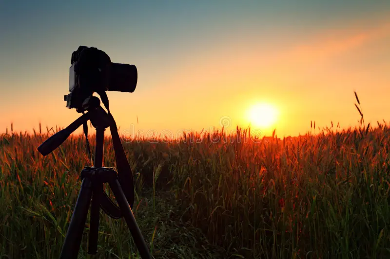 Nah Ini Dia Pengertian dan Fungsi Tripod Kamera yang Anda Harus Ketahui.