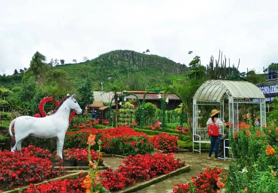 cantiknya-taman-bunga-begonia-surga-wisata-selfie-dekat-rumah-nyi-iteung-OgAQG4rAt2.webp