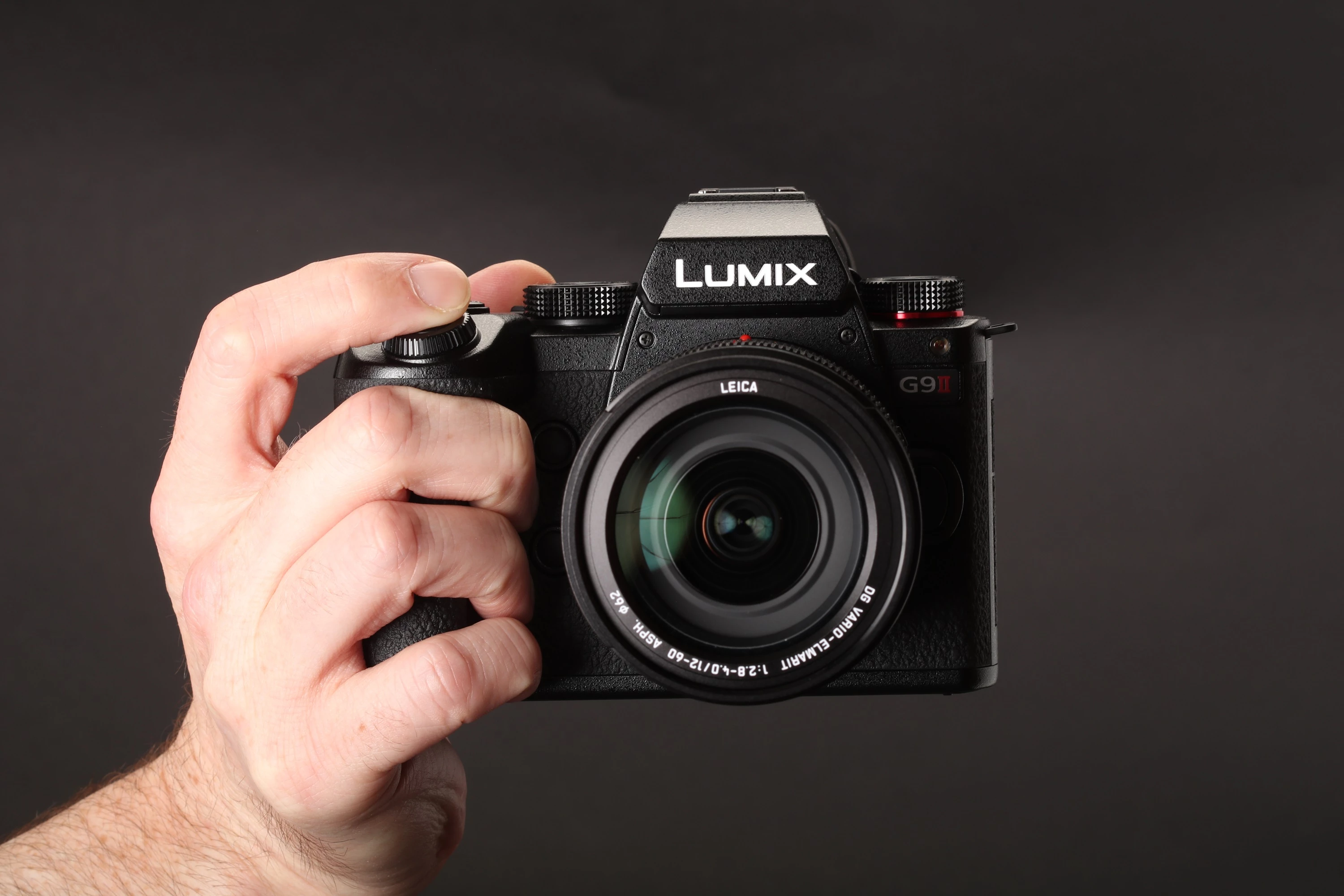 Panasonic Mengatakan Lumix G9 II Punya Kehandalan di Wildlife