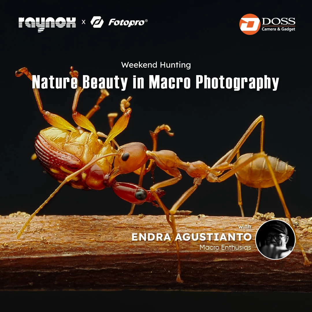 Nature Beauty in Macro Photography