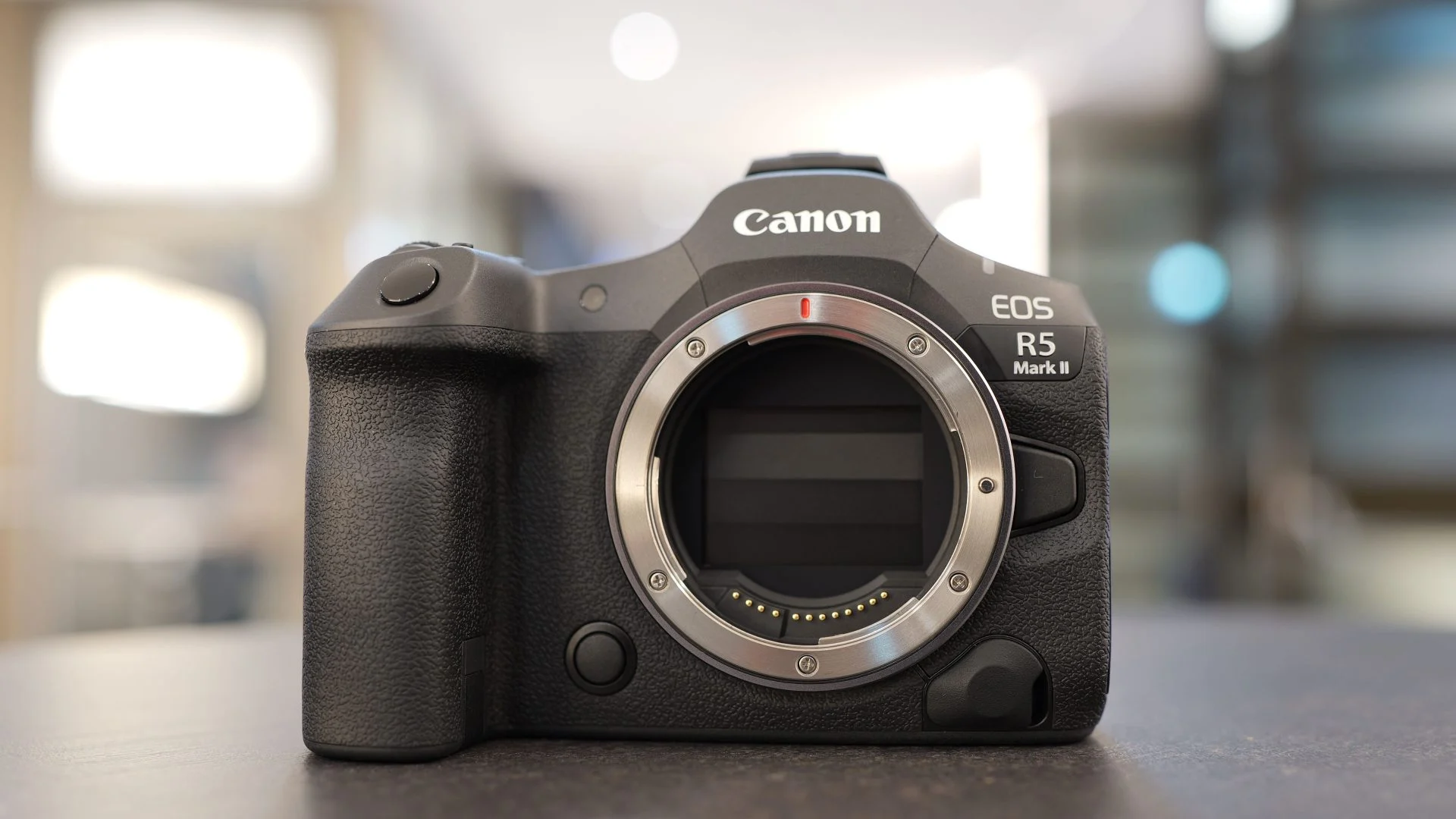 Canon EOS R5 Mark II Akan Menjadi Kamera yang Gahar Untuk Wildlife Photography