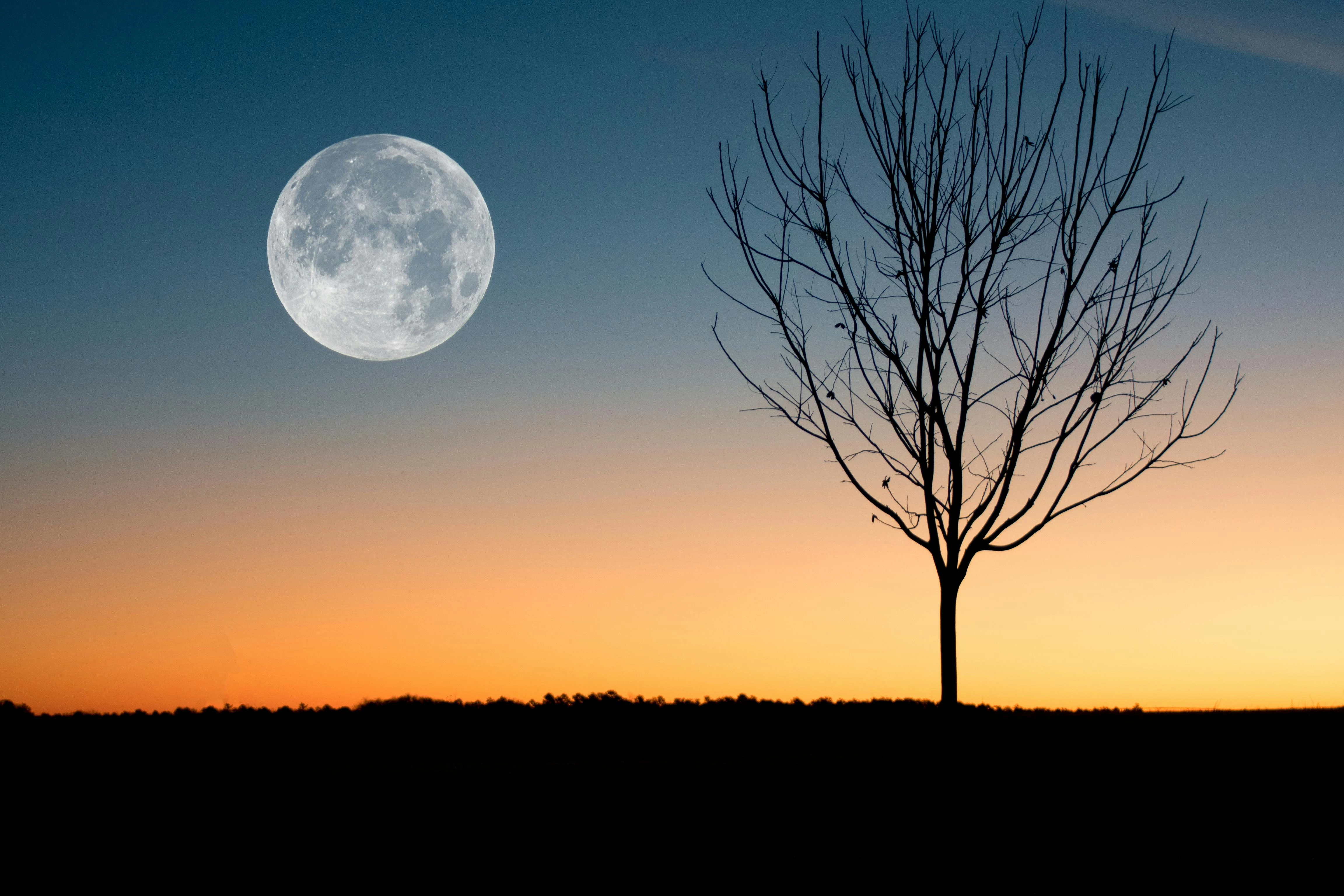 7 Tips Memotret Bulan Agar Hasilnya Menakjubkan, Yuk Dicoba